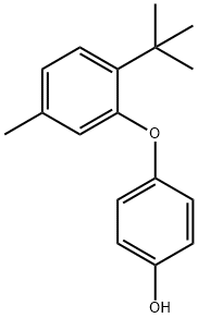 T-丁基甲基苯氧基苯酚