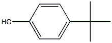 4-(1,1-DIMETHYLETHYL)-PHENOL,HOMOPOLYMER
