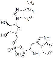 tryptophyl adenylate