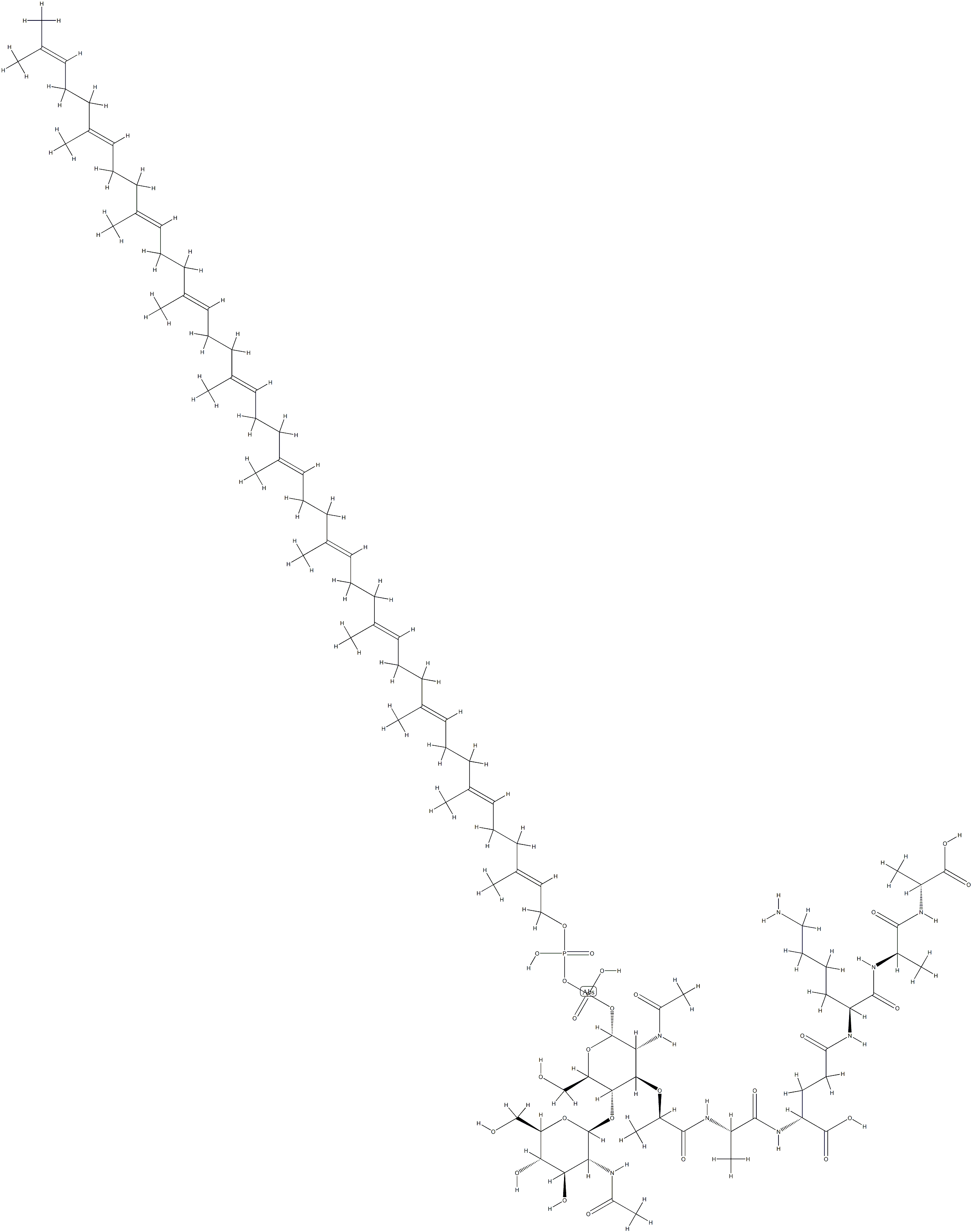 undecaprenyl diphosphate-(N-acetylglucosaminyl)(1-4)-N-acetylmuramoyl pentapeptide
