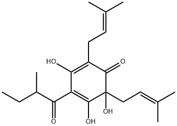 3,5,6-trihydroxy-2-(2-methylbutanoyl)-4,6-bis(3-methylbut-2-enyl)cyclohexa-2,4-dien-1-one