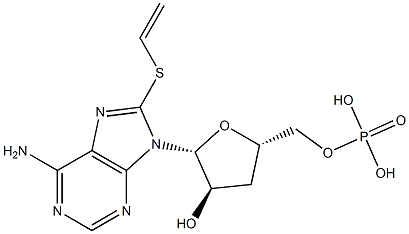8-THIOETHYLADENOSINE 3':5'-CYCLIC*MONOPH OSPHATE