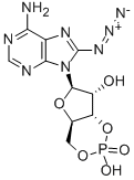 8-叠氮基腺苷基 3':5'-环状单磷酸酯