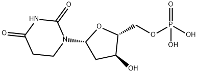 2'-deoxy-tetrahydro-5'-uridylic acid
