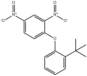 2,4-Dinitrophenyl 2-tert-butylphenyl ether