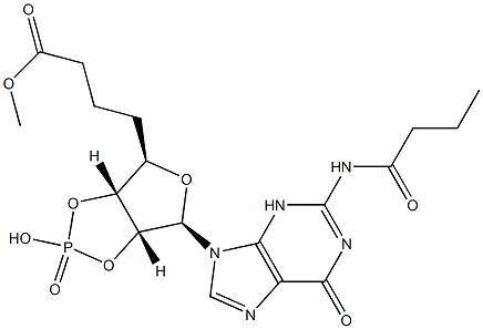 Dibutyryl Cyclic GMP