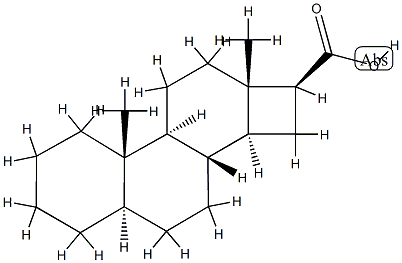 D-Nor-5α-androstane-16β-carboxylic acid