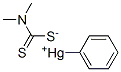 phenylmercury dimethyldithiocarbamate