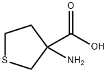 3-氨基四氢噻吩-3-羧酸