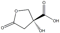 3-Furoicacid,tetrahydro-3-hydroxy-5-oxo-,(R)-(+)-(8CI)