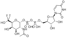 URIDINE DIPHOSPHATE N-ACETYL-D-GALACTOSAMINE, [GALACTOSAMINE-6-3H(N)]