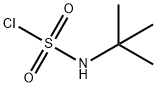 TERT-BUTYLSULFAMOYL CHLORIDE