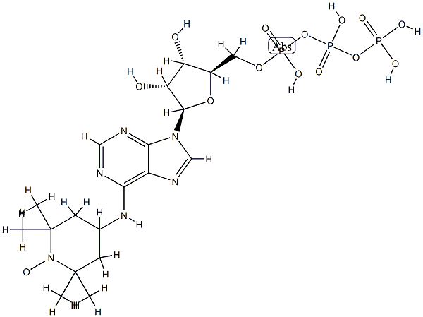 6-(2,2,6,6-tetramethylpiperidine-1-oxyl)-adenosine triphosphate
