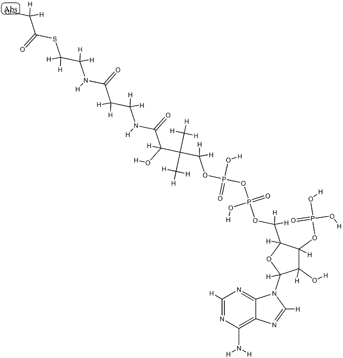 chloroacetyl coenzyme A