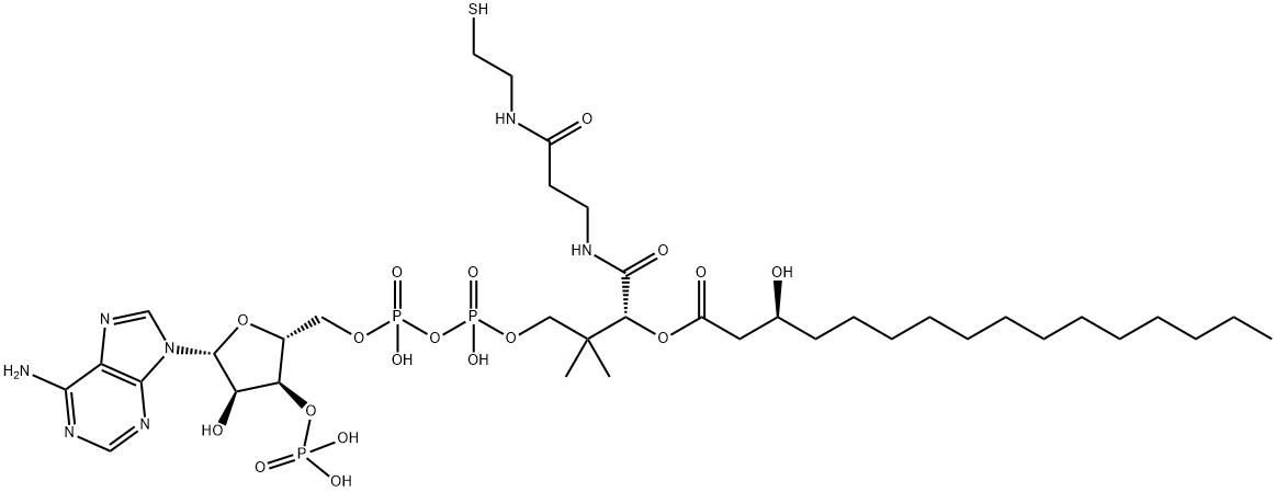 S-[2-[3-[[4-[[[(2R,3S,4R,5R)-5-(6-aminopurin-9-yl)-4-hydroxy-3-phosphonooxyoxolan-2-yl]methoxy-hydroxyphosphoryl]oxy-hydroxyphosphoryl]oxy-2-hydroxy-3,3-dimethylbutanoyl]amino]propanoylamino]ethyl] (3S)-3-hydroxyhexadecanethioate