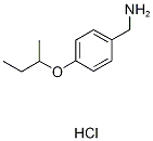 (4-BUTAN-2-YLOXYPHENYL)METHANAMINE,HYDROCHLORIDE