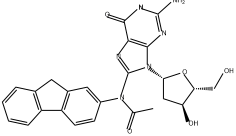 N-(deoxyguanosin-8-yl)acetylaminofluorene