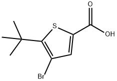 4-Bromo-5-(1,1-dimethylethyl)-2-thiophenecarboxylicacid