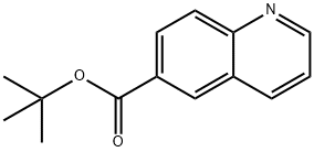 tert-butyl quinoline-6-carboxylate