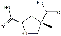 2,4-Pyrrolidinedicarboxylicacid,4-methyl-,(2R,4R)-rel-(9CI)