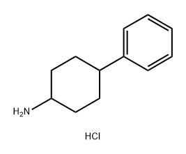 4-苯基环己胺盐酸盐