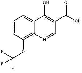 4-Hydroxy-8-trifluoromethoxyquinoline-3-carboxylic acid