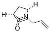 2-Azabicyclo[2.2.1]hept-5-en-3-one,2-(2-propenyl)-,(1S,4R)-(9CI)