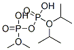 Diphosphoric acid P1,P1-dimethyl P2,P2-bis(1-methylethyl) ester