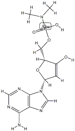 adenosine 3',5'-monophosphodimethylamidate