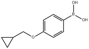 4-环丙甲氧基苯硼酸