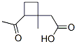Cyclobutaneacetic acid, 2-acetyl-1-methyl- (9CI)