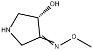 3-Pyrrolidinone,4-hydroxy-,O-methyloxime,(4S)-(9CI)