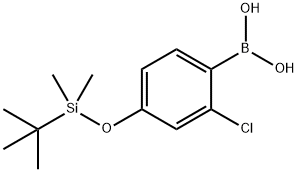 2-氯-4-(TBDMSO)-苯硼酸