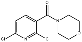 (2,6-dichloropyridin-3-yl)(Morpholino)Methanone