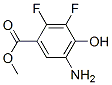 Benzoic acid, 5-amino-2,3-difluoro-4-hydroxy-, methyl ester (9CI)