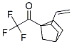 Ethanone, 1-(2-ethenylbicyclo[2.2.1]hept-1-yl)-2,2,2-trifluoro- (9CI)