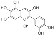 QUERCETAGETINIDIN CHLORIDE