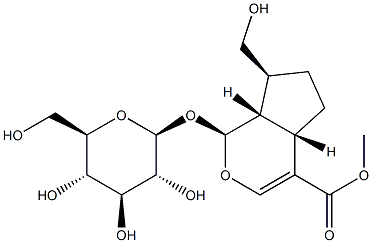 (1S)-1α-(β-D-Glucopyranosyloxy)-1,4aα,5,6,7,7aα-hexahydro-7α-(hydroxymethyl)cyclopenta[c]pyran-4α-carboxylic acid methyl ester