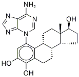 4-羟基雌二醇1-N3-腺嘌呤