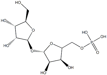polyribose phosphate