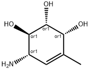 4-Cyclohexene-1,2,3-triol, 6-amino-4-methyl-, (1R,2R,3R,6S)-rel- (9CI)