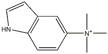 1H-Indol-5-aminium,N,N,N-trimethyl-(9CI)