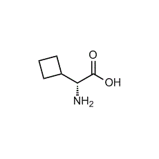 D-环丁基甘氨酸