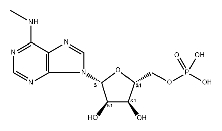 poly-N(6)-methyladenylic acid