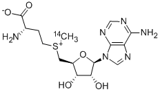 ADENOSYL-L-METHIONINE, S-[METHYL-14C]