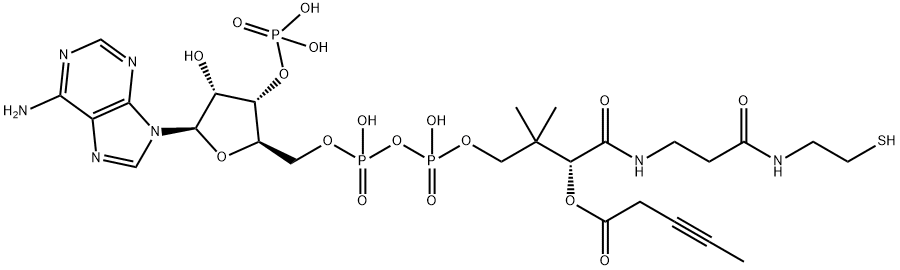 3-pentynoyl-coenzyme A