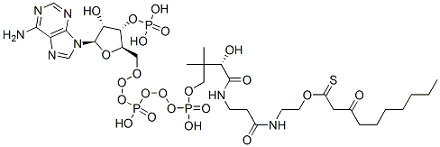 S-[2-[3-[[4-[[[(2R,3S,4R,5R)-5-(6-aminopurin-9-yl)-4-hydroxy-3-phosphonooxyoxolan-2-yl]methoxy-hydroxyphosphoryl]oxy-hydroxyphosphoryl]oxy-2-hydroxy-3,3-dimethylbutanoyl]amino]propanoylamino]ethyl] 3-oxodecanethioate