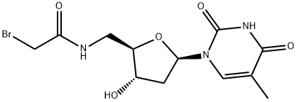 5'-bromoacetamido-5'-deoxythymidine