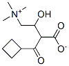 cyclobutanecarbonylcarnitine