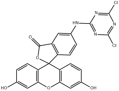 5-(4,6-二氯三嗪)氨基荧光素